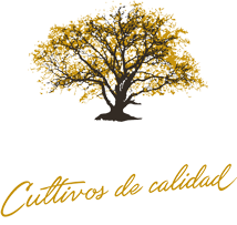 El PicÛn